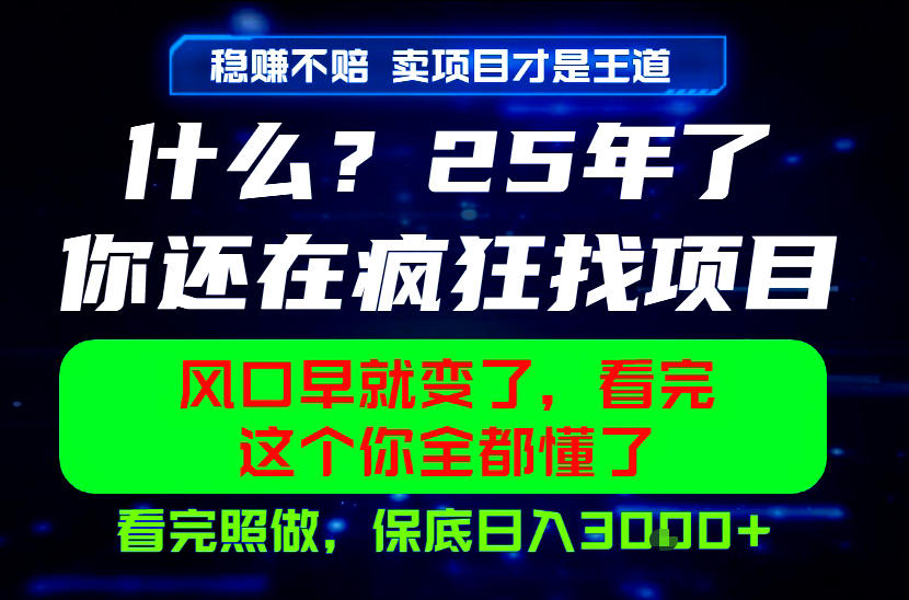 26年，请不要疯狂的找项目做了！卖项目才是真的稳賺不赔，看完照做，保底日入1k+【揭秘】-一起网赚吧