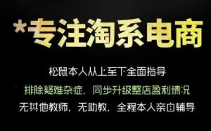 松鼠会电商VIP课程，从基础布局到高阶优化，助你掌握淘宝运营逻辑，提升店铺流量与转化（更新0626）-一起网赚吧