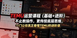 TEMU运营课程（基础+进阶），不止教操作，更传授底层思维，一门让你真正看懂TEMU的进阶课-一起网赚吧