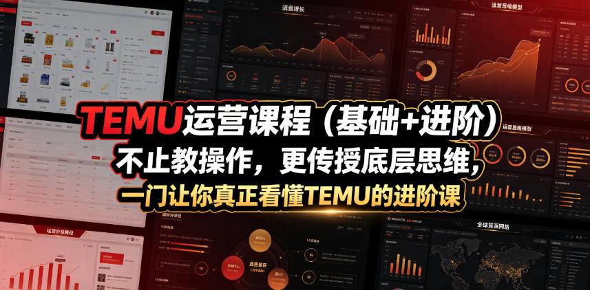 TEMU运营课程（基础+进阶），不止教操作，更传授底层思维，一门让你真正看懂TEMU的进阶课-一起网赚吧