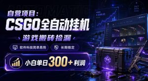 自营项目：CSGO全自动挂G，游戏搬砖捡漏，软件科技简单易用，长期稳定，小白单日300+利润【揭秘】-一起网赚吧