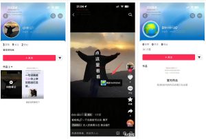 最强抖音引流-隐藏式暂停跳钩子，效果自测-一起网赚吧