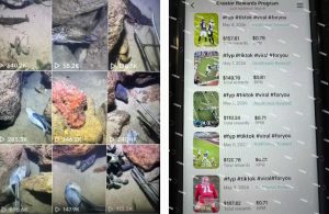 Tiktok中视频解说教程，体育+温情文案双赛道实操教程一站式带你落地，教你出海賺美刀-一起网赚吧