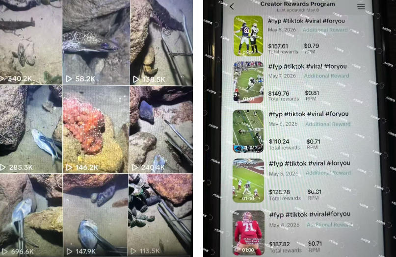 Tiktok中视频解说教程，体育+温情文案双赛道实操教程一站式带你落地，教你出海賺美刀-一起网赚吧
