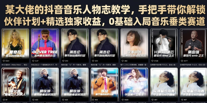 某大佬的抖音音乐人物志教学，手把手带你解锁伙伴计划+精选独家收益，0基础入局音乐垂类赛道-一起网赚吧