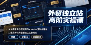 外贸独立站高阶实操课｜从域名服务器搭建到Elementor定制化建站，打造高转化询盘型独立站全教程-一起网赚吧