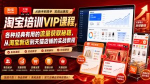 淘宝培训VIP课程,各种经典有用的流量获取秘籍,从淘宝新店到天猫店铺的实战教程(更新7月)-一起网赚吧