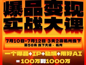 爆品变现实战大课,从爆品,到流量,到成交,一个爆品+IP+私域+用好AI=100W到1000W(7月10-12日)-一起网赚吧