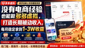 没有电商经验也能做多多虚拟,打造长期被动收入,每月稳定拿到1-3W收益【揭秘】-一起网赚吧