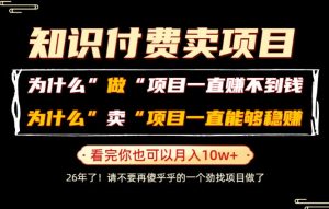 普通人为什么能够靠卖项目轻松月入10W+，而做项目却容易成炮灰，卖项目为什么能够稳賺不赔？【揭秘】-一起网赚吧