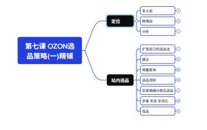2026最新OZON全流程运营实操跨境电商平台教程，OZON全流程一站式系统学习必修课，从开店到跟卖到精铺-一起网赚吧