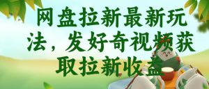 网盘拉新最新玩法，发好奇视频获取拉新收益，抖音收藏家玩法-一起网赚吧