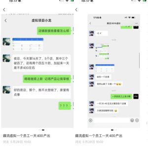 薅流虚拟2.0陪跑课,0成本AI流程化操作,淘宝+闲鱼同步玩法,上一次货两个平台有收益,单店每天200纯利润-一起网赚吧